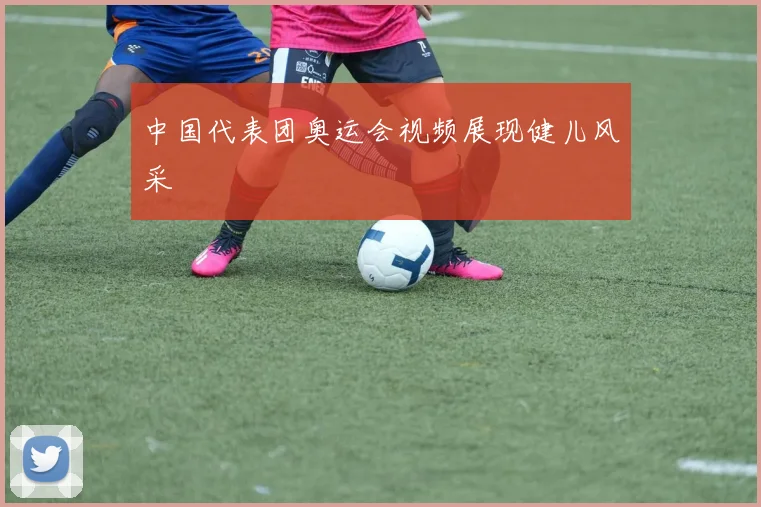 中国代表团奥运会视频展现健儿风采
