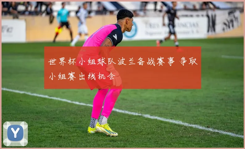 世界杯小组球队波兰备战赛事 争取小组赛出线机会