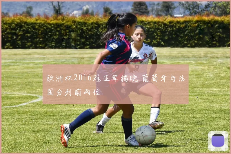 欧洲杯2016冠亚军揭晓 葡萄牙与法国分列前两位