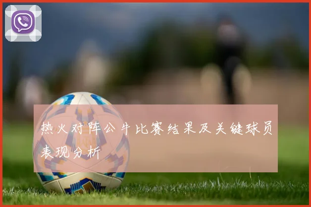 热火对阵公牛比赛结果及关键球员表现分析