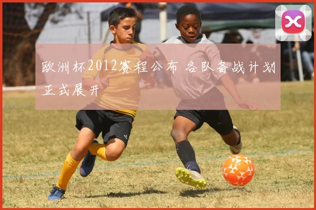 欧洲杯2012赛程公布 各队备战计划正式展开