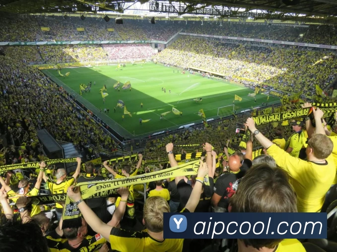 mksports - mk(中国)一站式服务体育官方网站APP 封面图